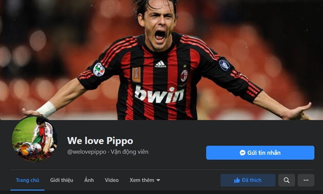 We love Pippo