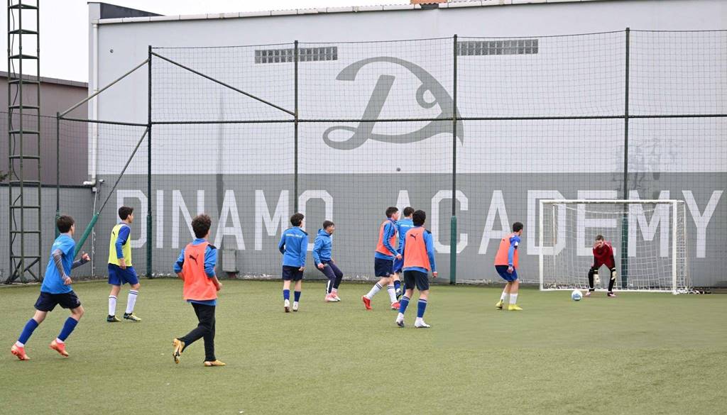 Dinamo Academy