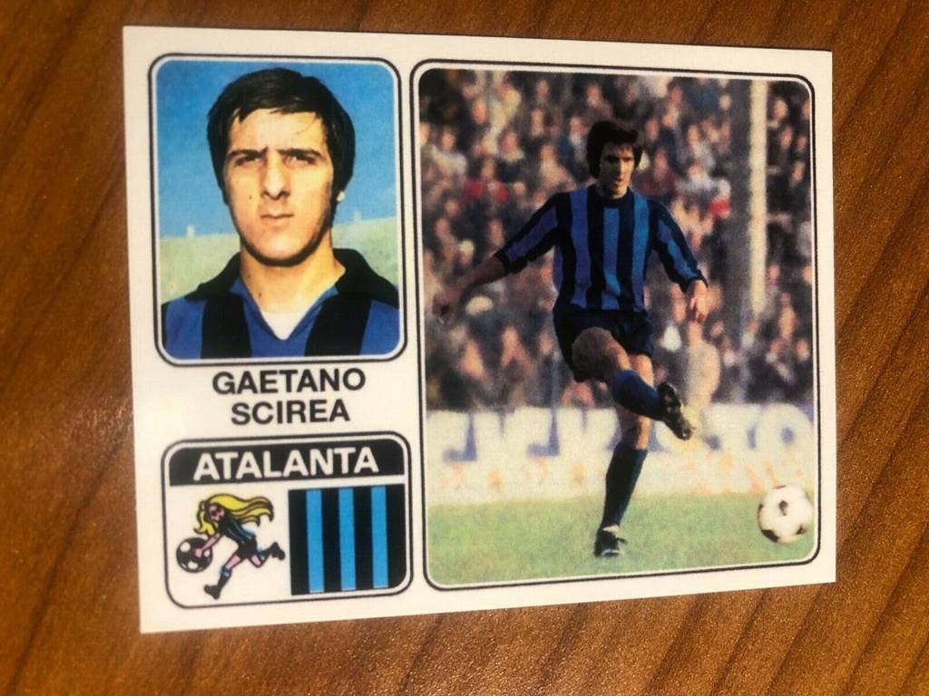 Scirea